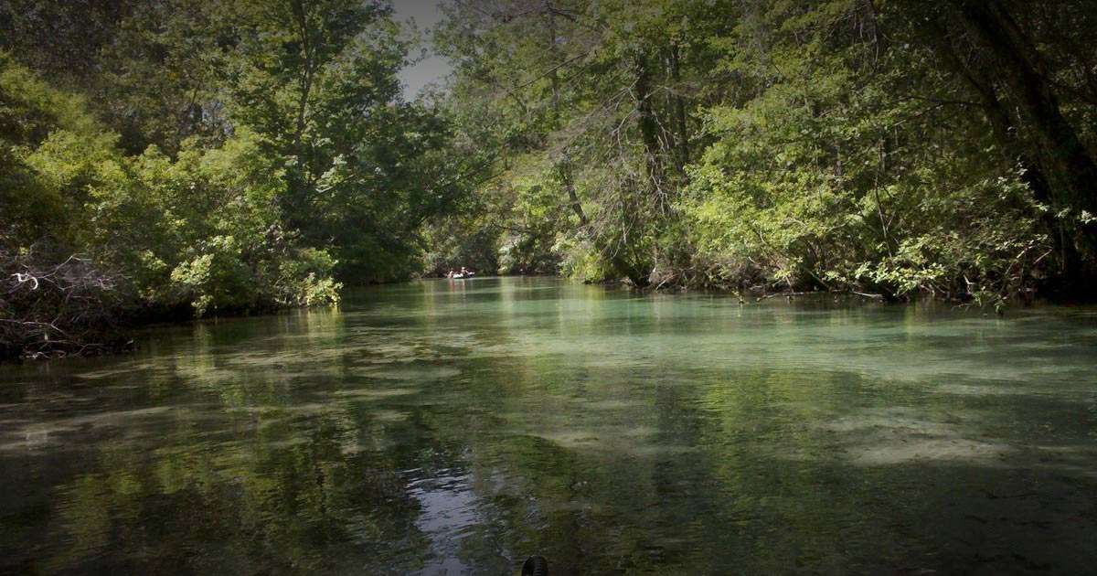 Weeki Wachee River